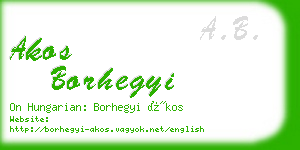 akos borhegyi business card